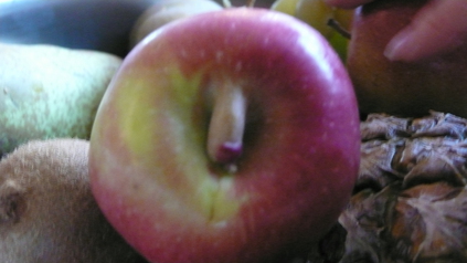 l1200357 